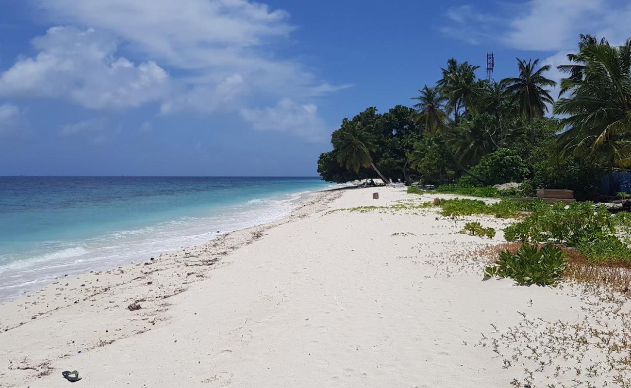 Dharavandhoo Beach II'in fotoğrafı beyaz kum yüzey ile