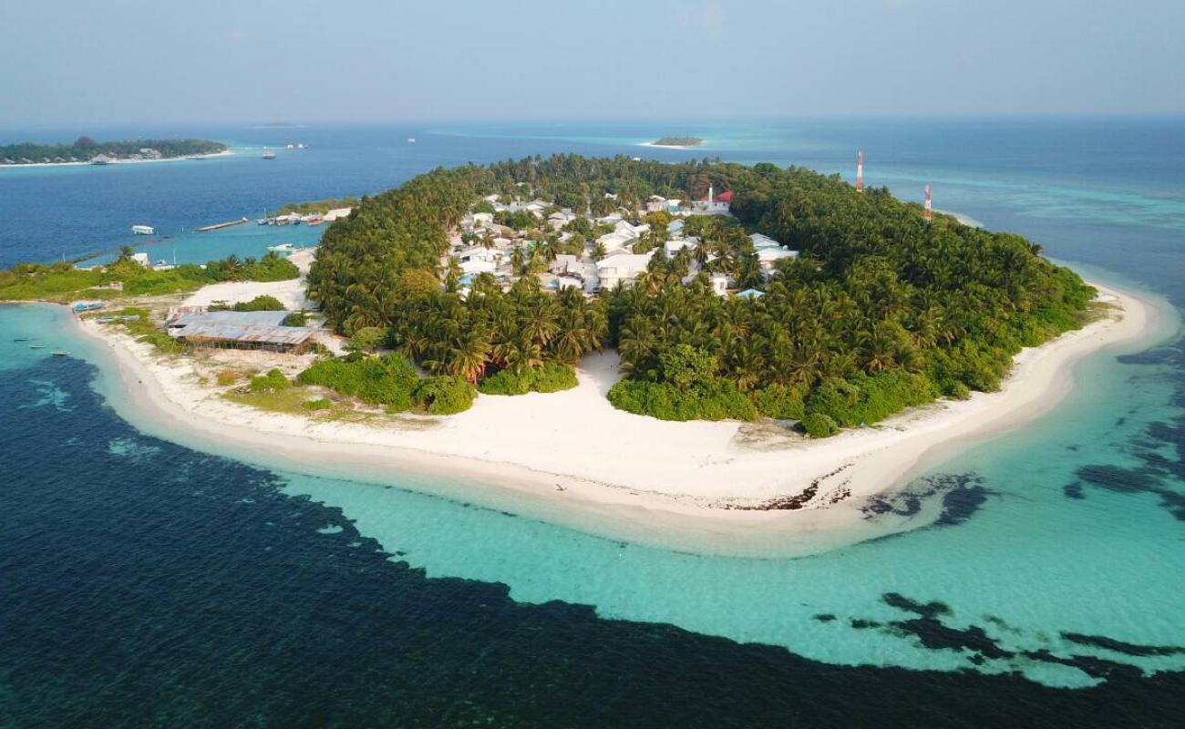 Bahamas Beach'in fotoğrafı beyaz kum yüzey ile