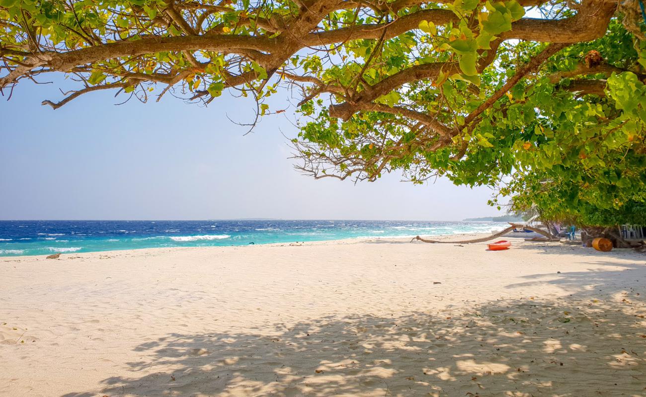 Kendhoo Office Beach'in fotoğrafı açık bej kum yüzey ile