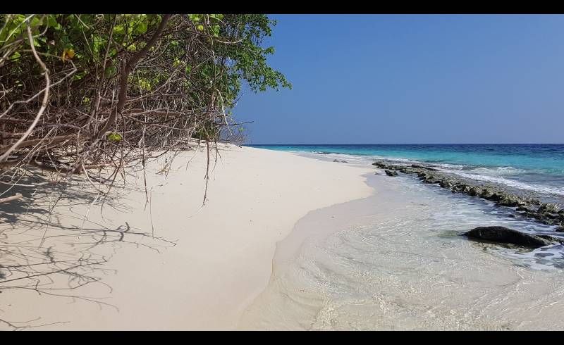 Kendhoo Beach'in fotoğrafı açık bej kum yüzey ile