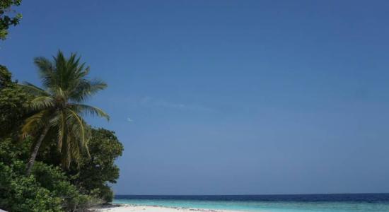 Gemendhoo Island Beach