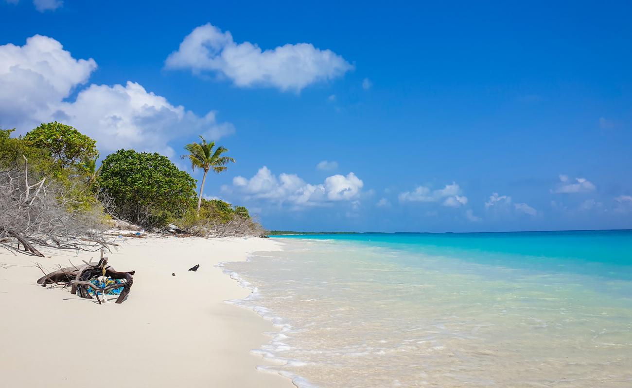 Dhiffushimaidhoo Island Beach'in fotoğrafı açık bej kum yüzey ile