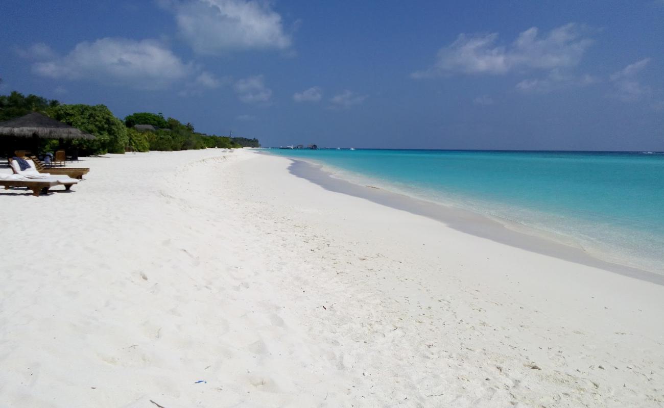 Madhiriguraidhoo Plajı'in fotoğrafı beyaz kum yüzey ile