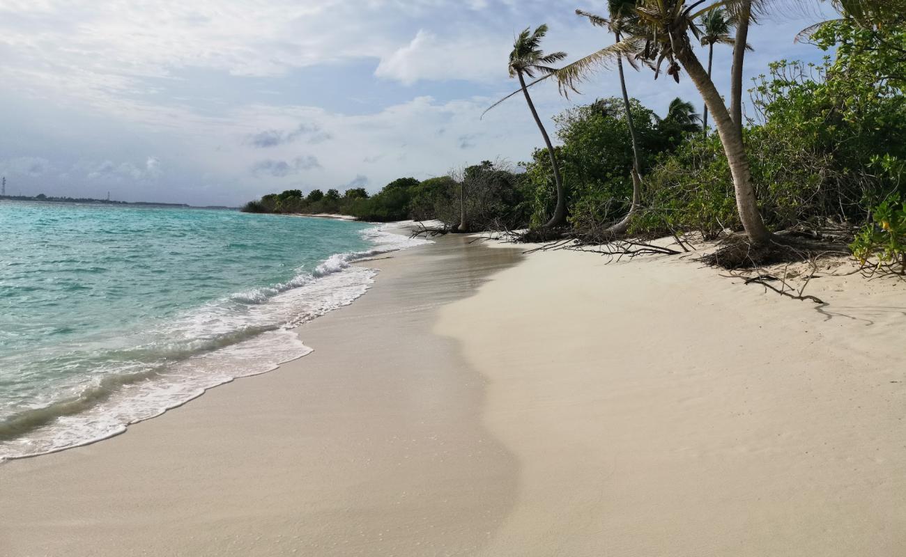 Raafushi Beach'in fotoğrafı açık bej kum yüzey ile