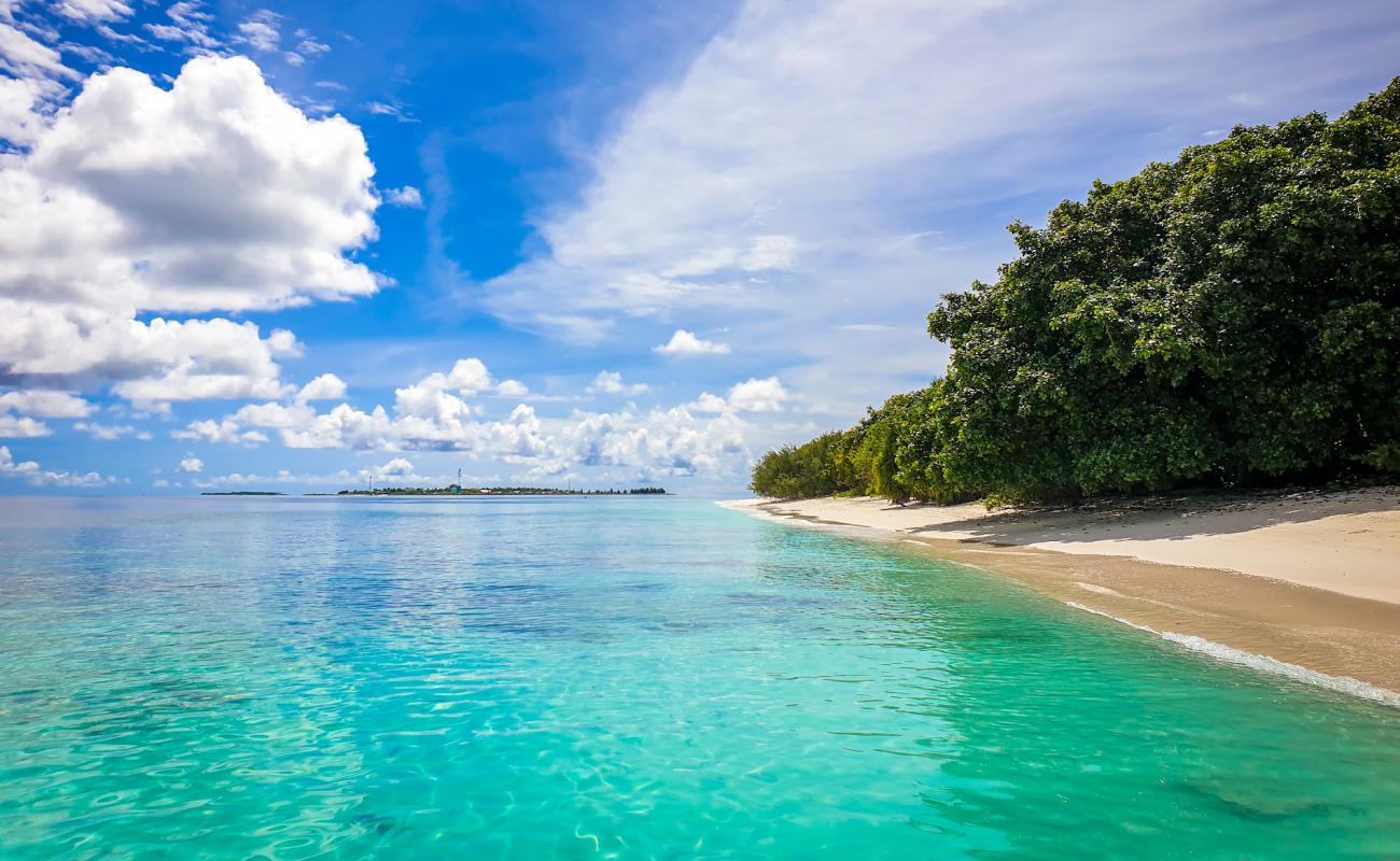 Dhidhdhoo beach'in fotoğrafı beyaz kum yüzey ile