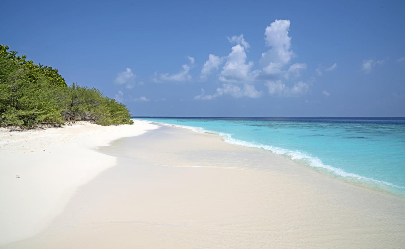 Hulhumeedhoo Beach'in fotoğrafı beyaz kum yüzey ile