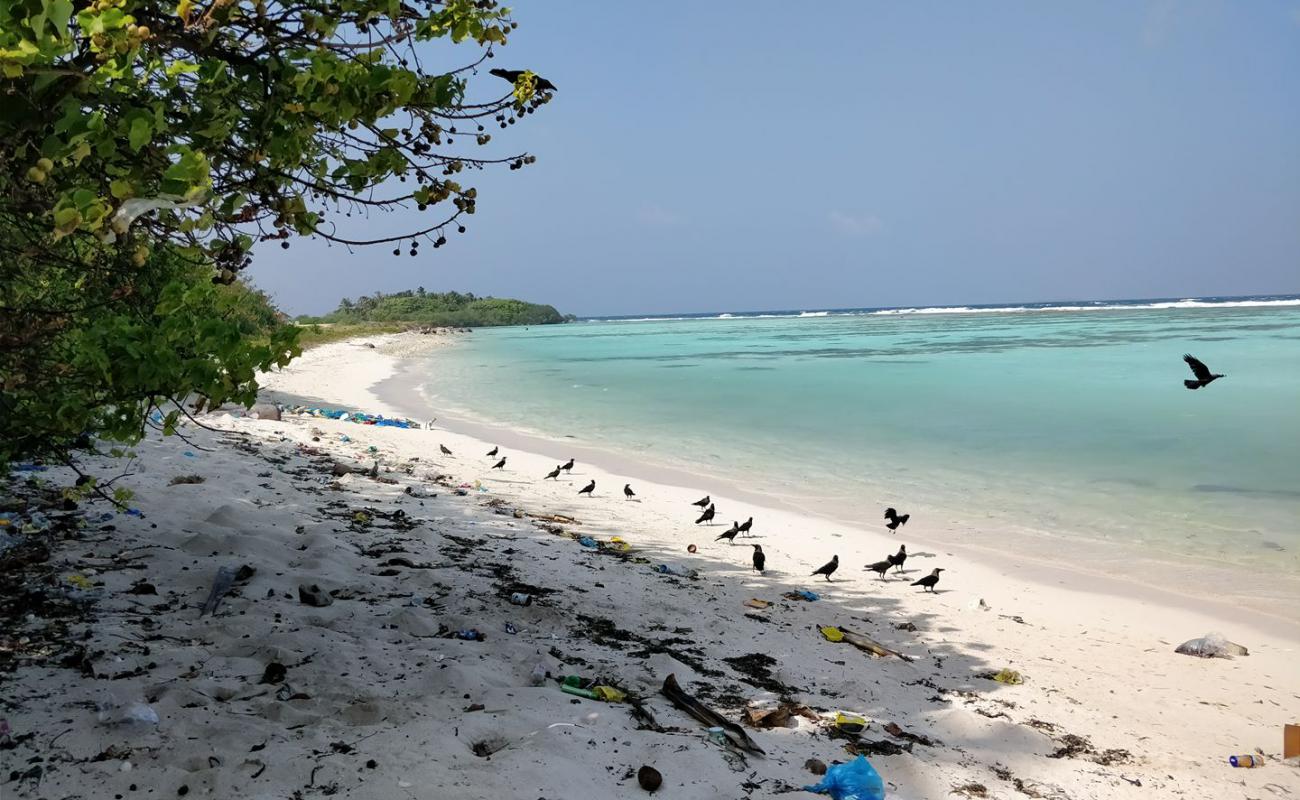 Nevi Manadhoo Beach'in fotoğrafı açık bej kum yüzey ile
