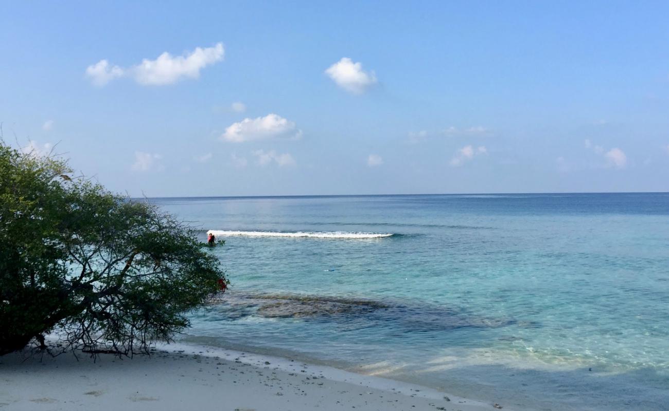 Bandaha Magu'in fotoğrafı beyaz kum yüzey ile