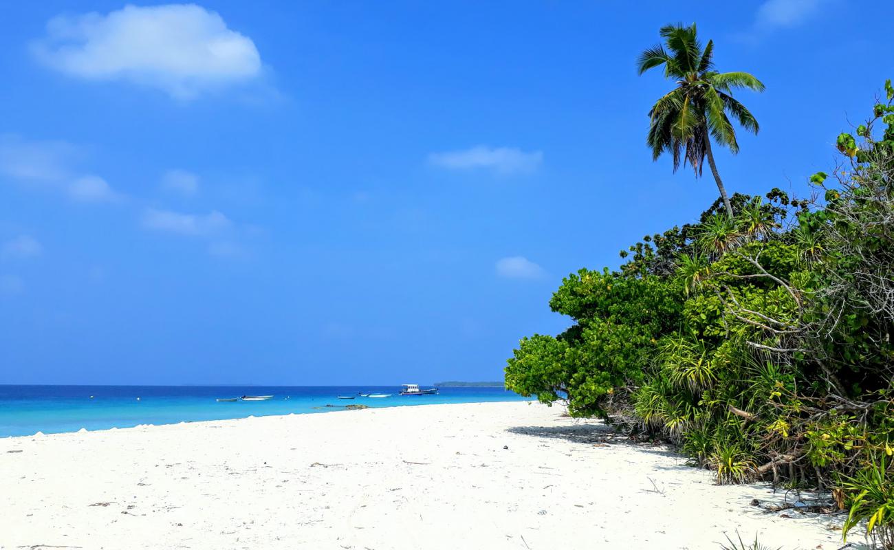 Meynaamagu Beach'in fotoğrafı parlak kum yüzey ile