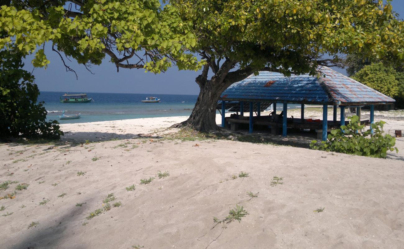 Nellaidhoo Beach'in fotoğrafı parlak kum yüzey ile