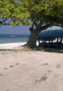 Haa Dhaalu Atolü