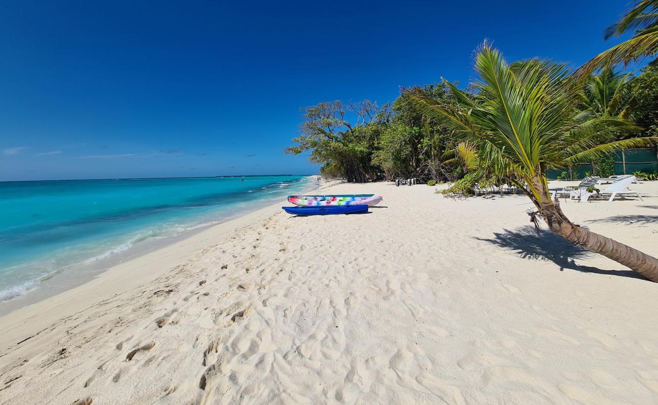 Vashafaru beach'in fotoğrafı beyaz kum yüzey ile
