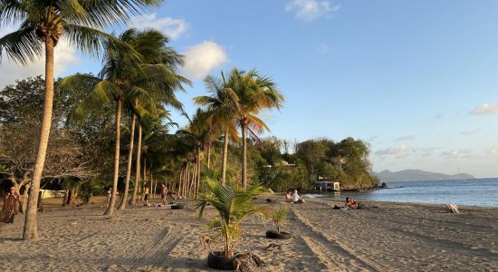 Plage De Madiana