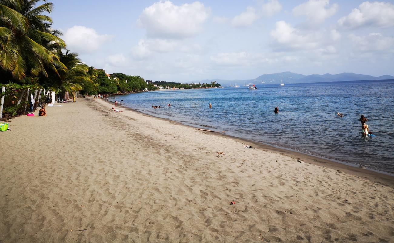 Plage de l'Anse Collat'in fotoğrafı bej kabuklu kum yüzey ile