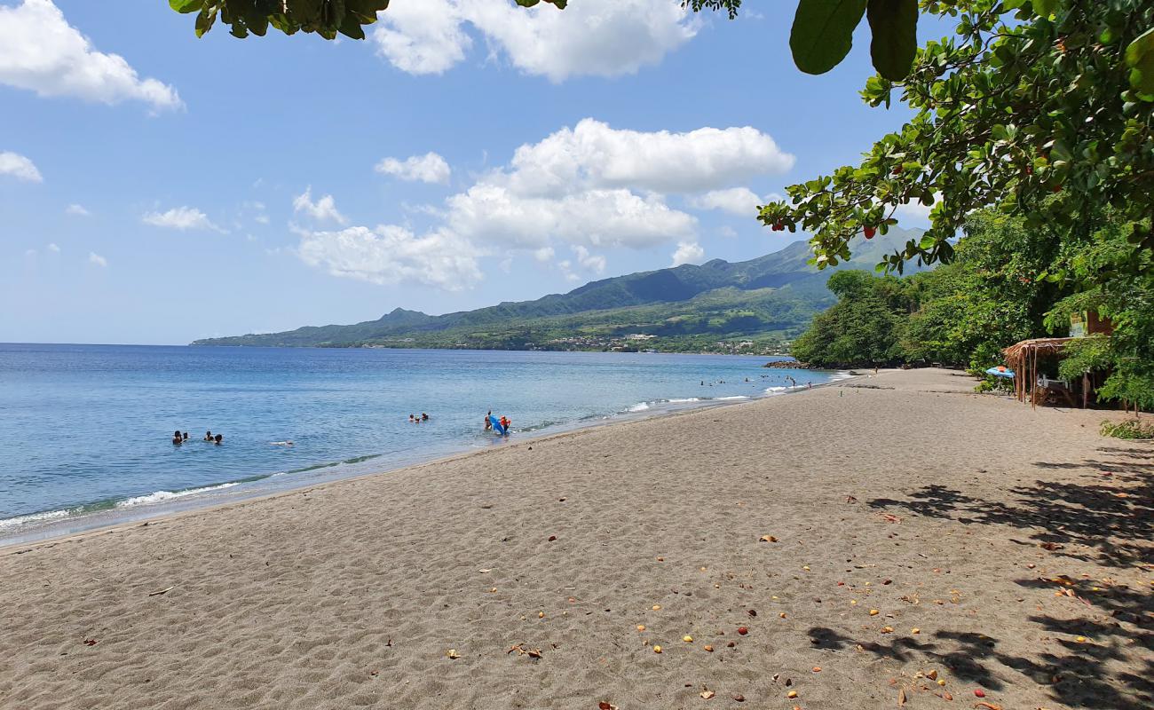 Plage des Raisiniers'in fotoğrafı bej kabuklu kum yüzey ile