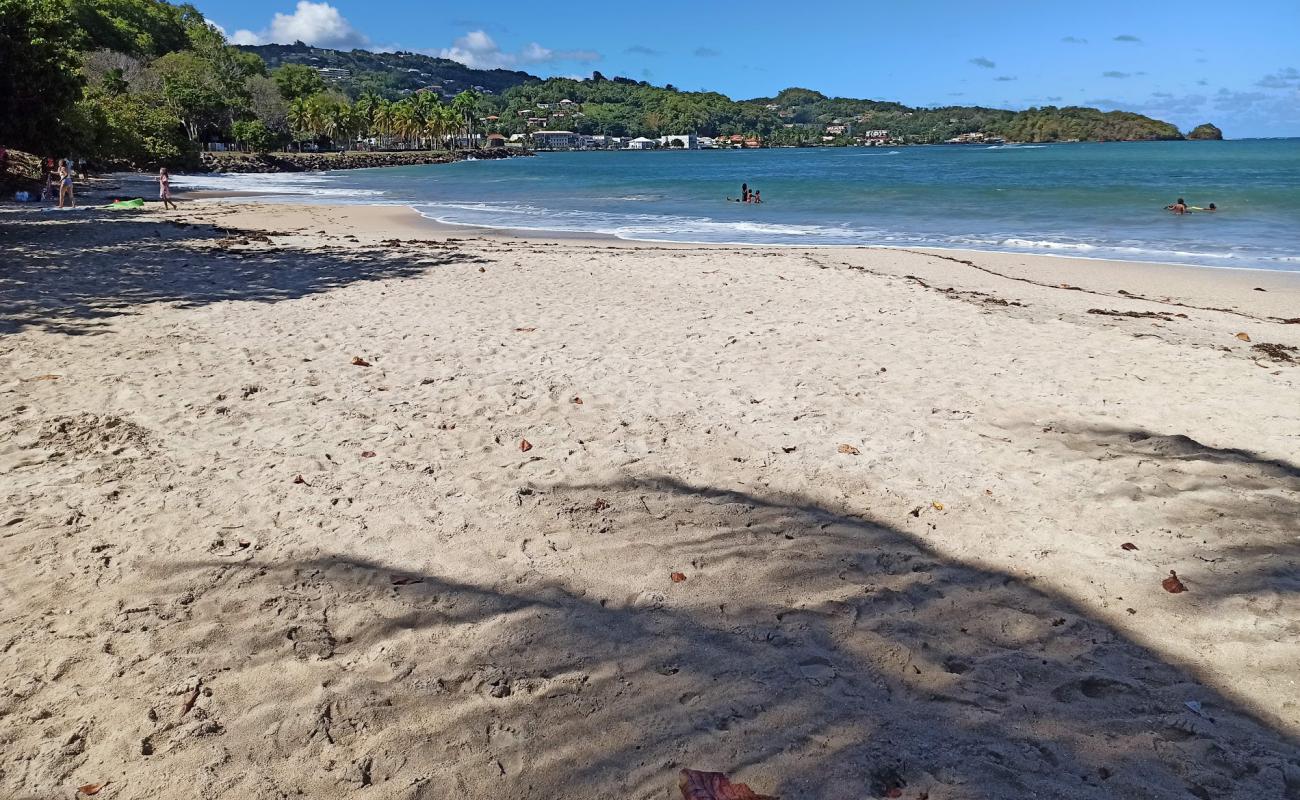 Plage des Raisiniers'in fotoğrafı i̇nce bej kum yüzey ile