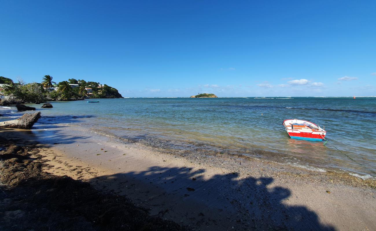Le Manguier beach'in fotoğrafı açık bej kum yüzey ile