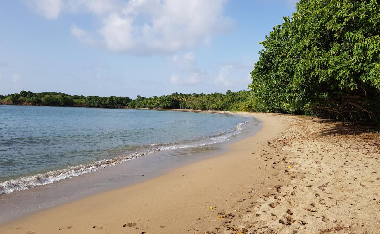 Plage de La Breche'in fotoğrafı i̇nce bej kum yüzey ile