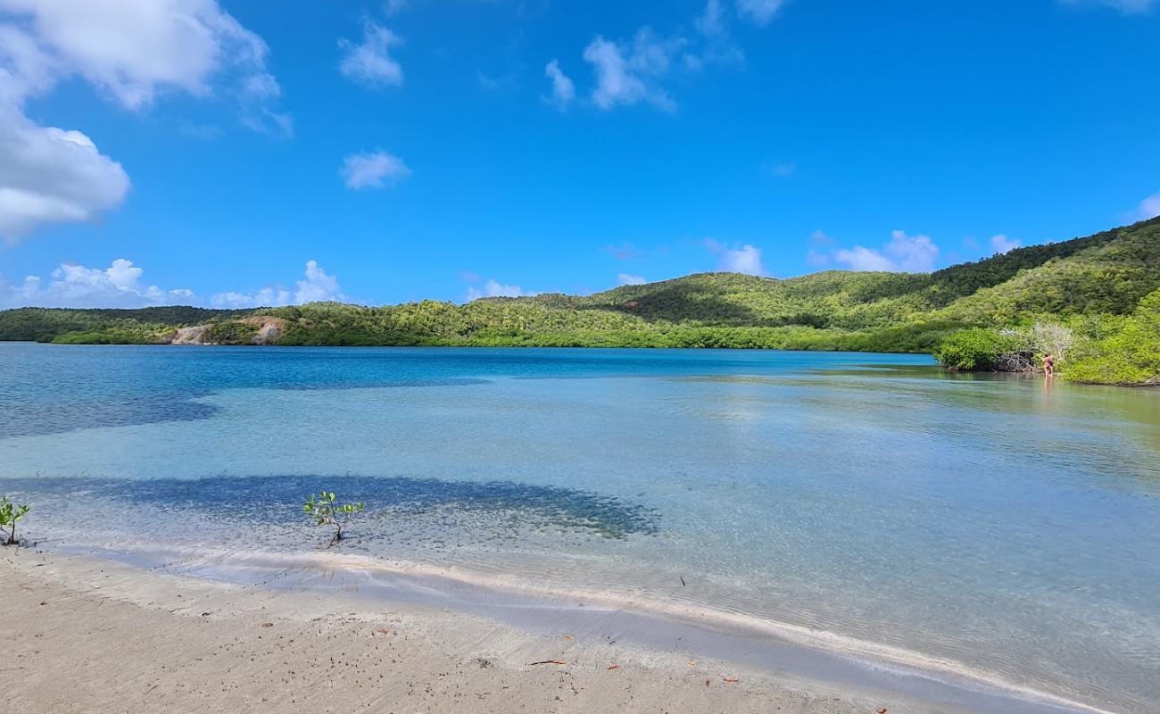 Plage Mangrove'in fotoğrafı açık bej kum yüzey ile