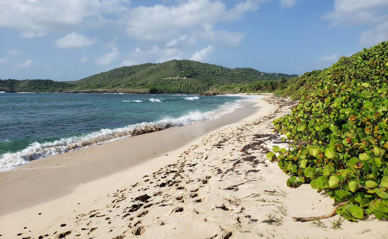 Plage de Cap Macre'in fotoğrafı küçük bej çakıl yüzey ile