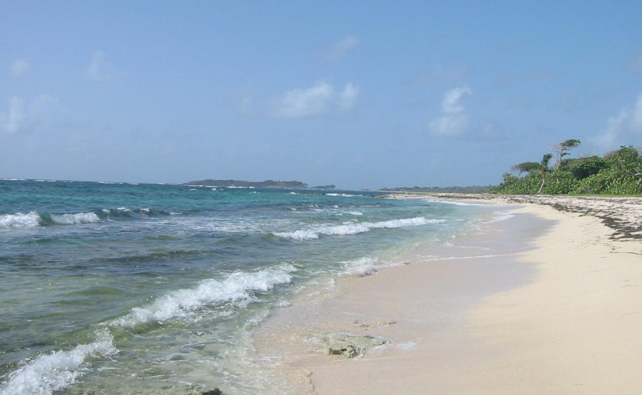 Anse Baleine beach'in fotoğrafı bej kum ve kayalar yüzey ile