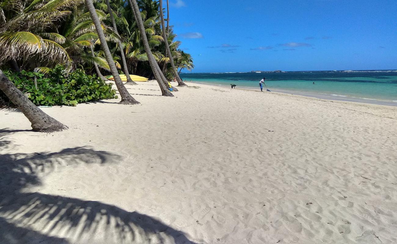 Anse Michel beach'in fotoğrafı parlak kabuk kumu yüzey ile