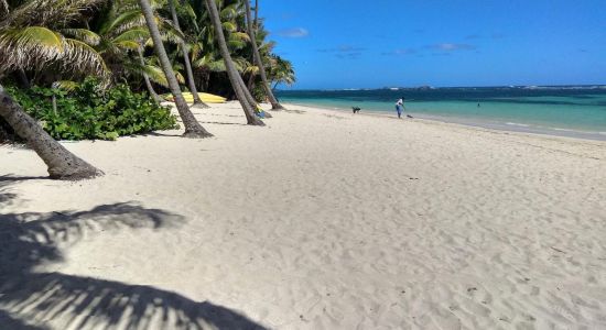 Anse Michel beach