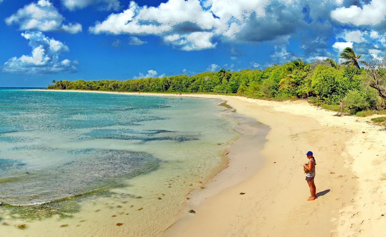 Grande terre beach'in fotoğrafı i̇nce bej kum yüzey ile
