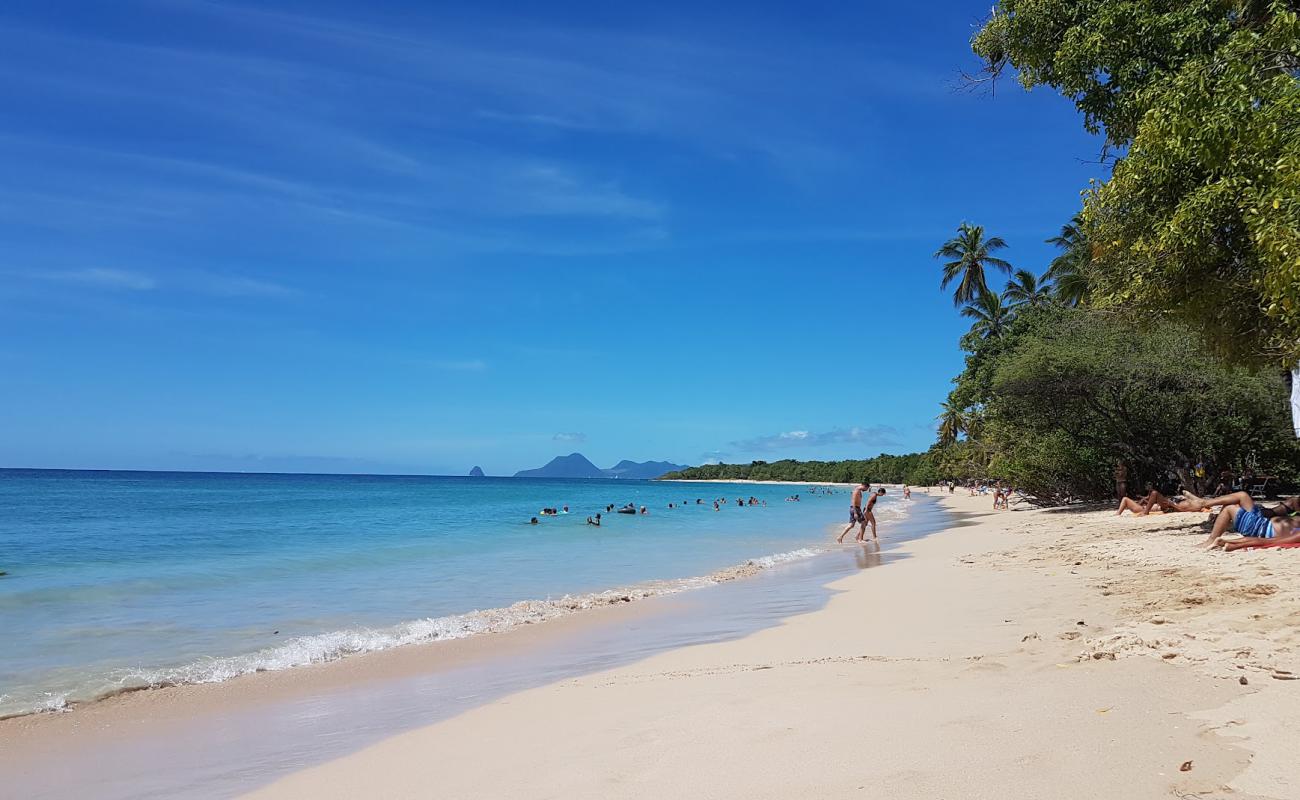 Plage des Salines'in fotoğrafı açık bej kum yüzey ile