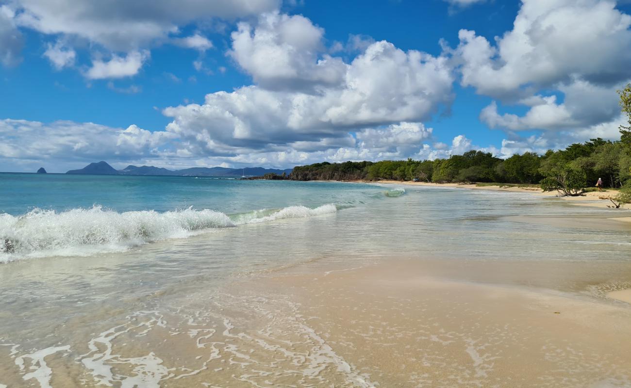 Petite Anse des Salines'in fotoğrafı açık bej kum yüzey ile