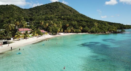 Anse Figuier Plajı