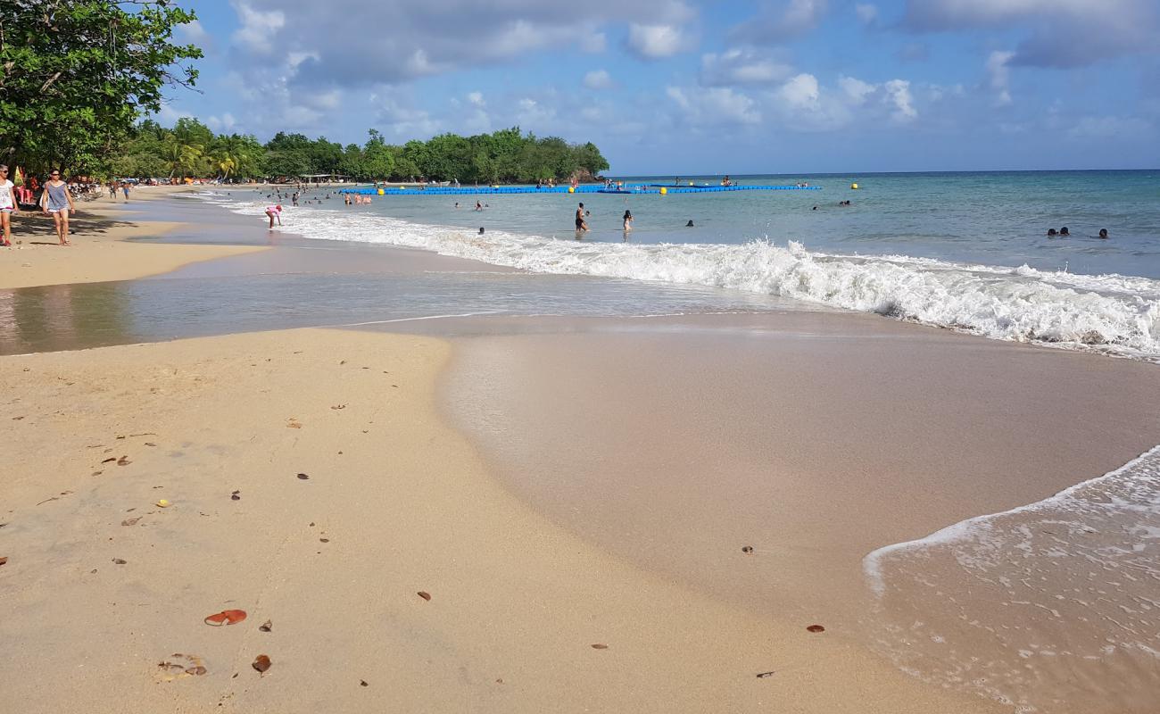 Tam Tam beach'in fotoğrafı açık bej kum yüzey ile