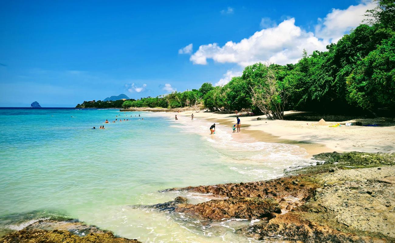 Plage de Sainte Luce'in fotoğrafı açık bej kum yüzey ile