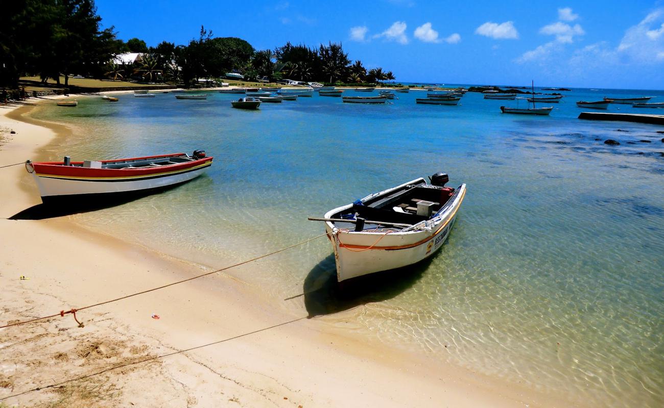 Anse La Raie Beach'in fotoğrafı açık bej kum yüzey ile