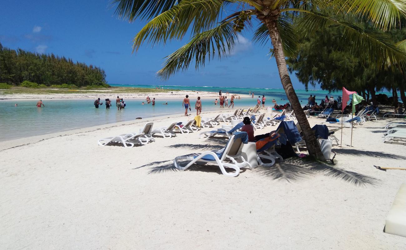 Ile aux Cerfs Beach'in fotoğrafı beyaz kum yüzey ile