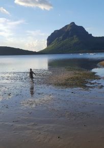 Mauritius Adası