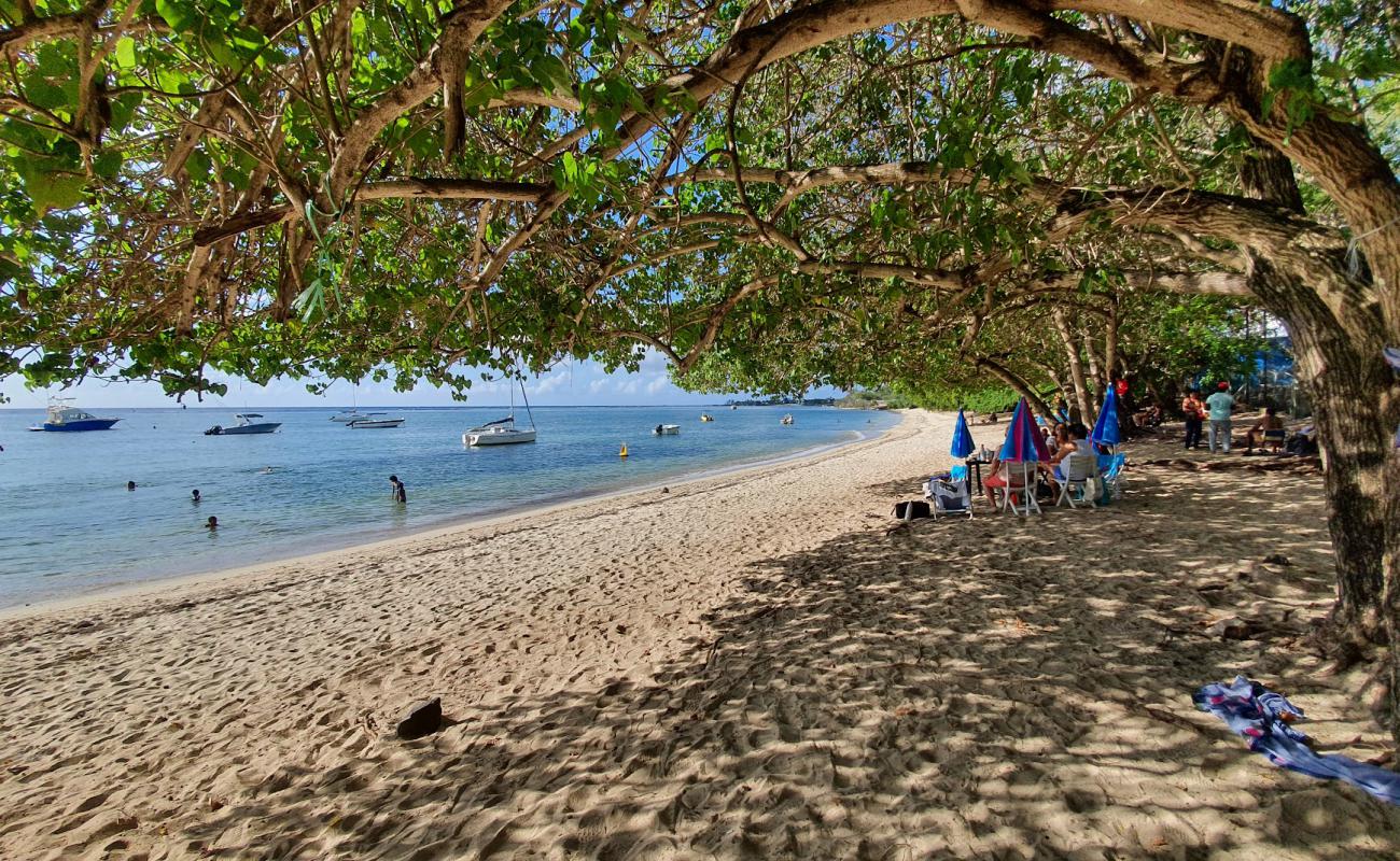 Albion Beach'in fotoğrafı açık bej kum yüzey ile