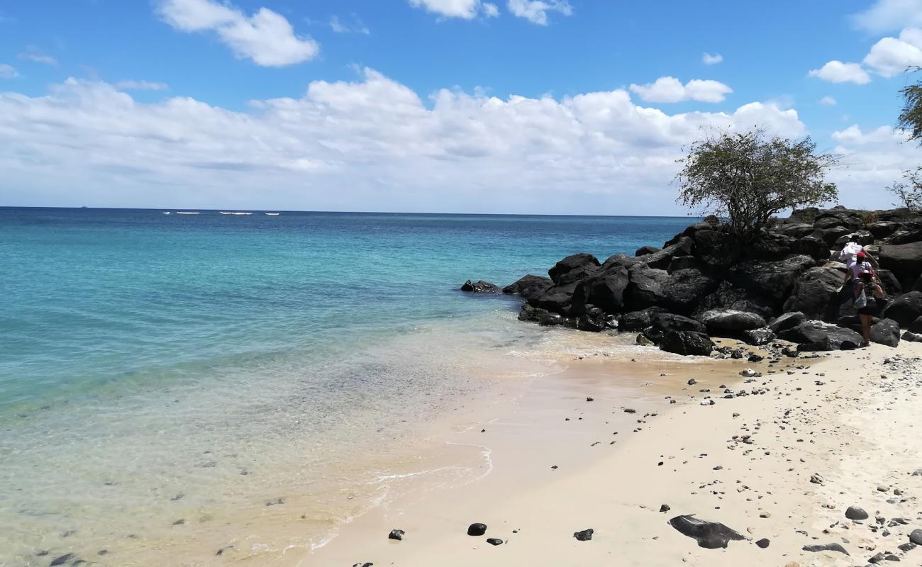 The Point Beach'in fotoğrafı açık bej kum yüzey ile