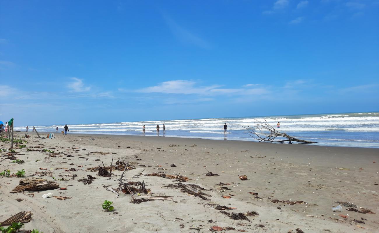 Playa La Bocana de Rancho'in fotoğrafı açık bej kum yüzey ile