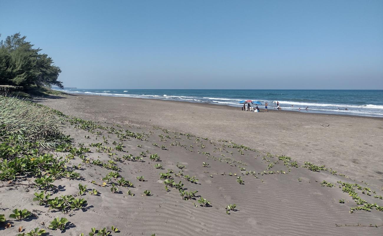 Playa Los Pinos'in fotoğrafı açık bej kum yüzey ile
