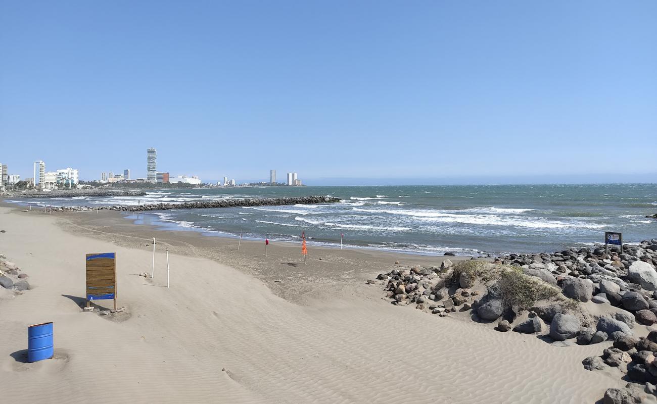 Playa Los Delfines'in fotoğrafı açık bej kum yüzey ile