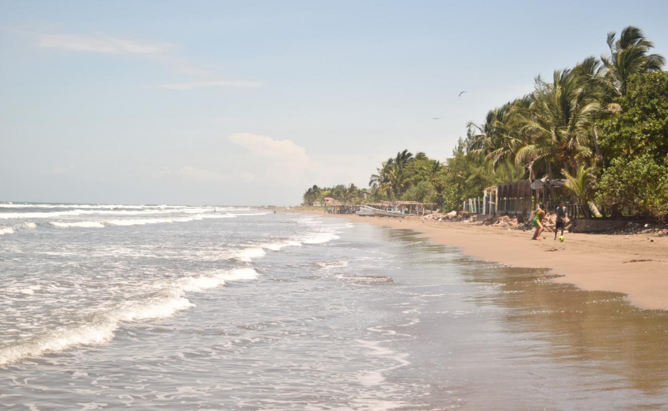 Playa Mata de Uva'in fotoğrafı gri kum yüzey ile