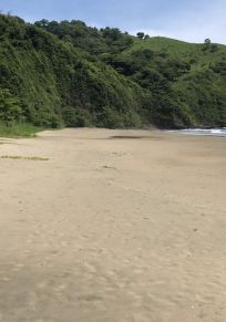 Balzapote