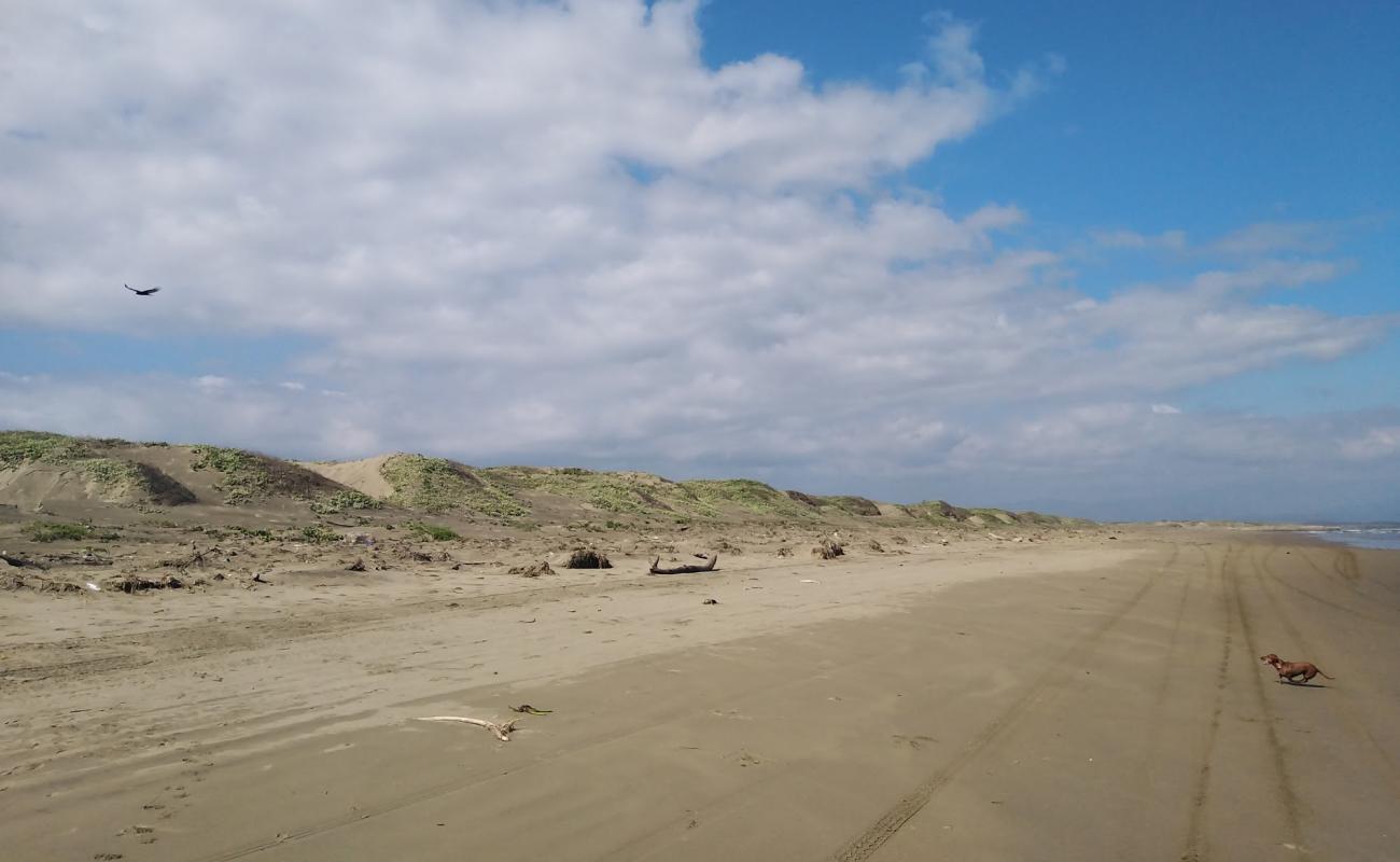 Playa las dunas'in fotoğrafı parlak kum yüzey ile