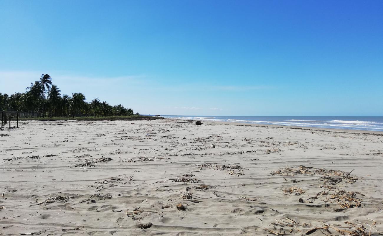 Playa Pico de Oro'in fotoğrafı açık bej kum yüzey ile