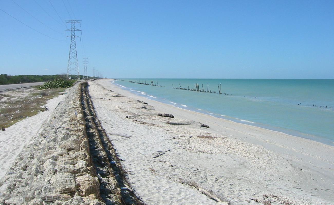 Playa Caledonia'in fotoğrafı parlak kum yüzey ile