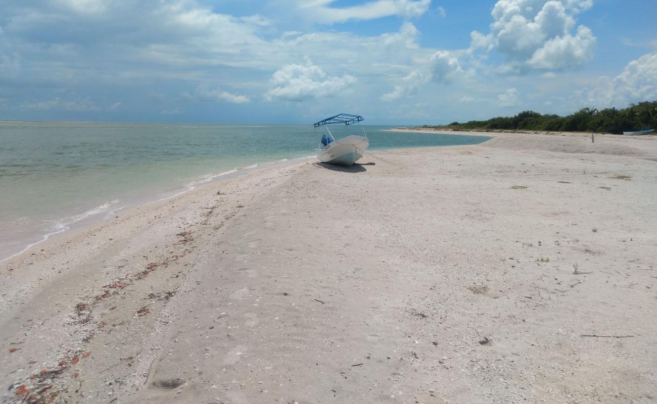 Punta San Julian'in fotoğrafı parlak kum yüzey ile