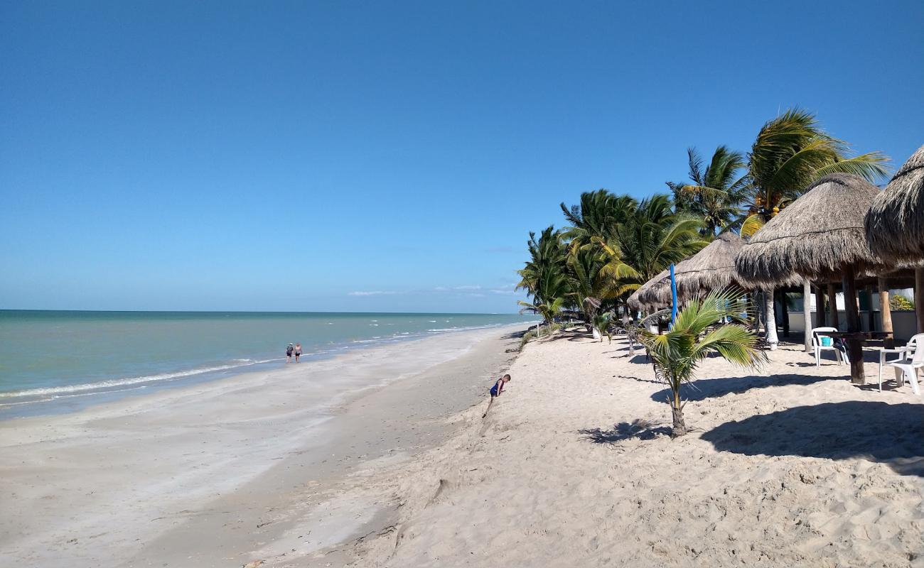 Champoton beach'in fotoğrafı açık bej kum yüzey ile