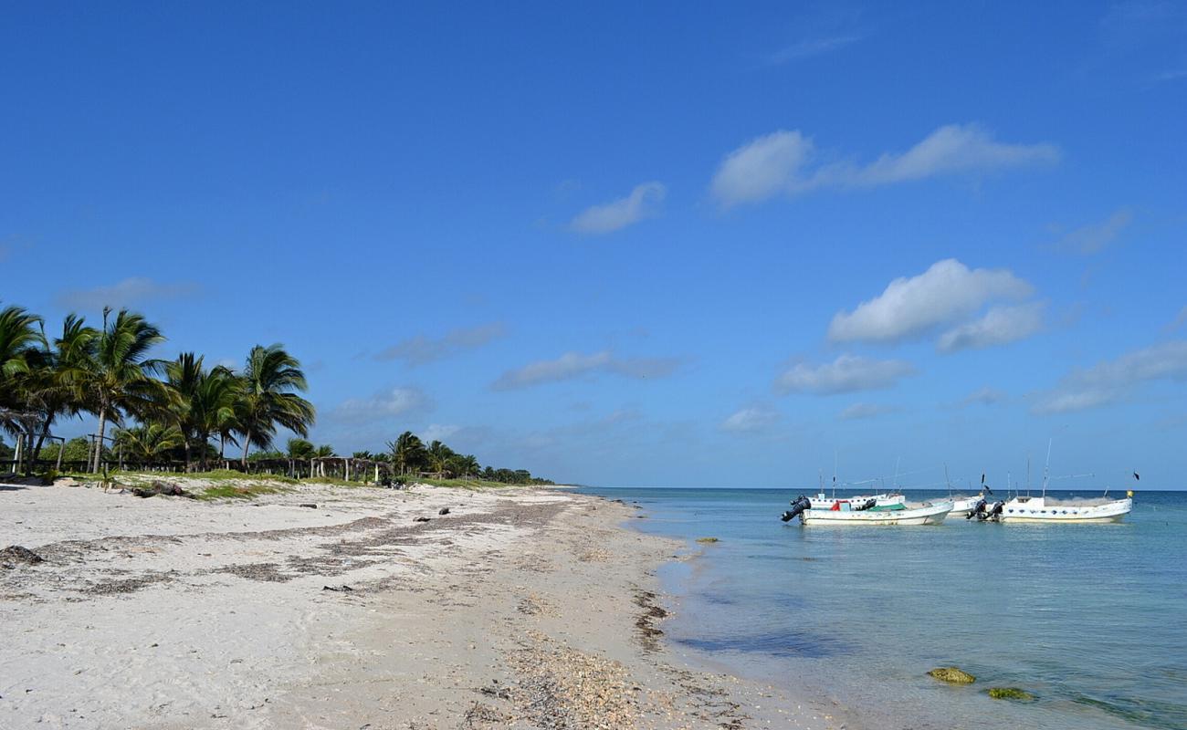 Playa Punta Xen'in fotoğrafı açık bej kum yüzey ile