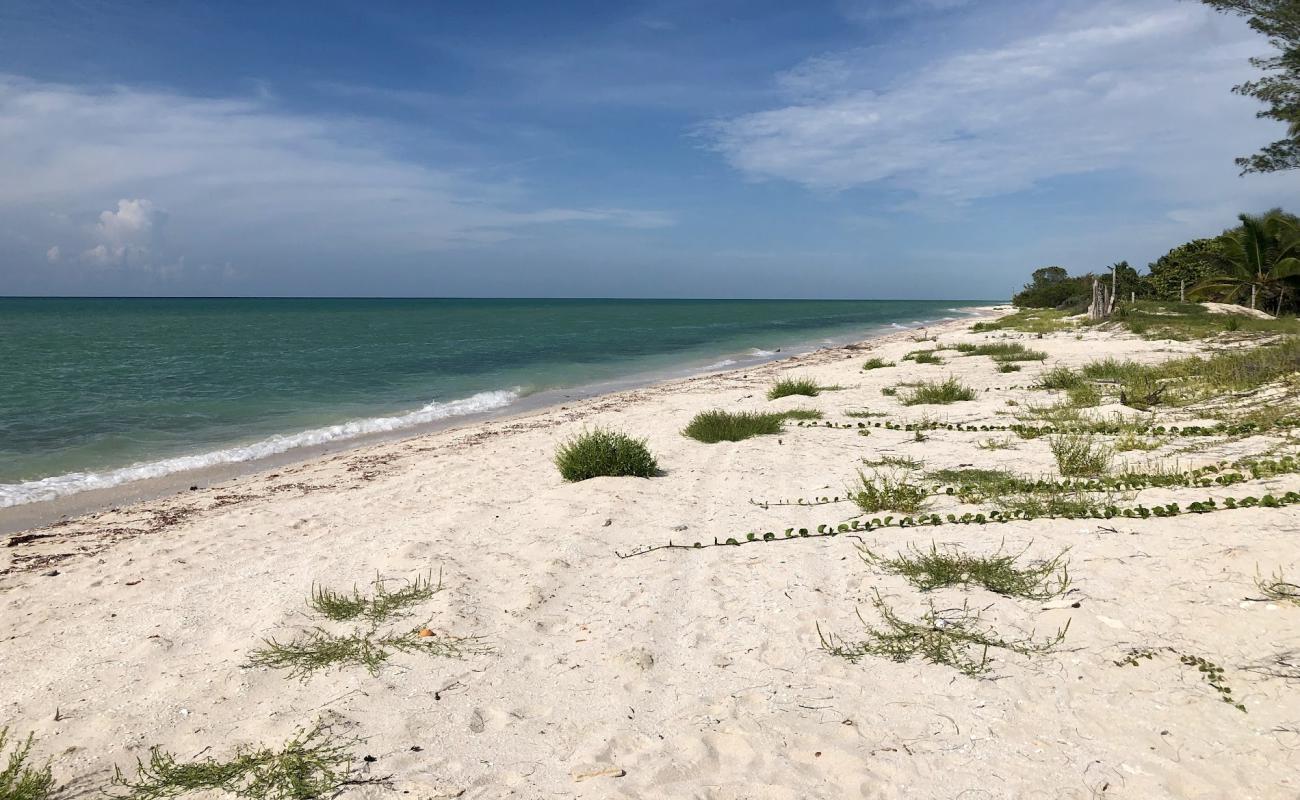 Faro El Palmar'in fotoğrafı açık bej kum yüzey ile